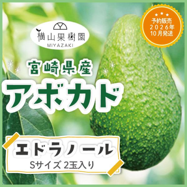 油分が多くコクのある味わいのエドラノールを産地直送でお届け。 1500円を合計金額に加算させて頂きます・糖油分が多く・別途送料