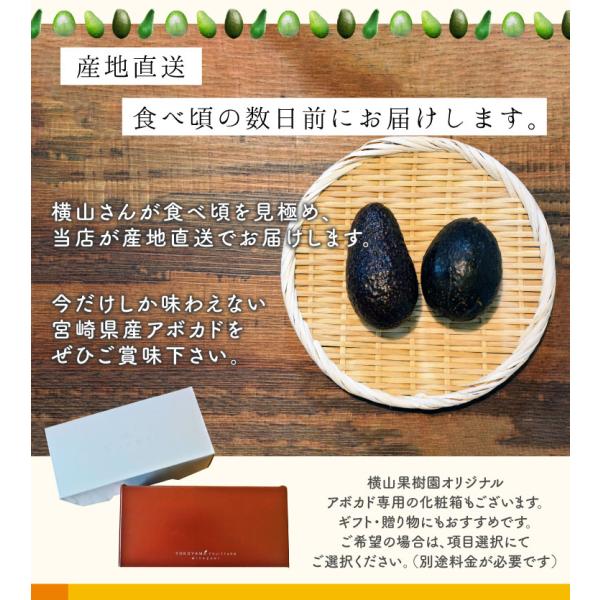 油分が多くコクのある味わいのエドラノールを産地直送でお届け。 1500円を合計金額に加算させて頂きます・糖油分が多く・別途送料