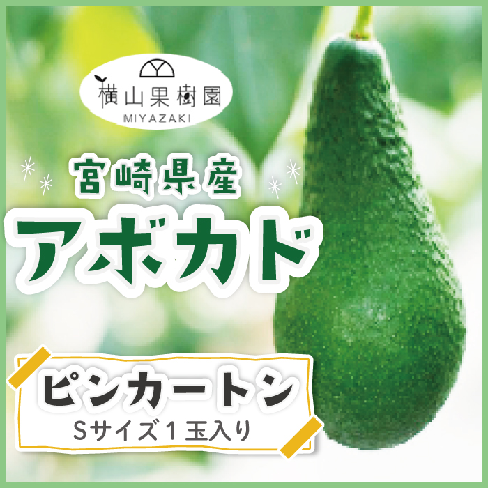 油分を多く含み、ナッツのような香りのピンカートン。 産地・あらかじめご了承頂きますよう・別途送料