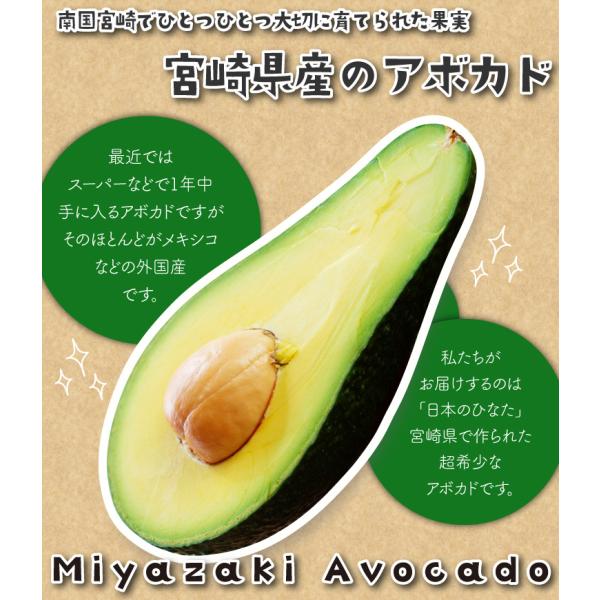 油分を多く含み、ナッツのような香りのピンカートン。 商品名・あらかじめご了承頂きますよう・生育状況