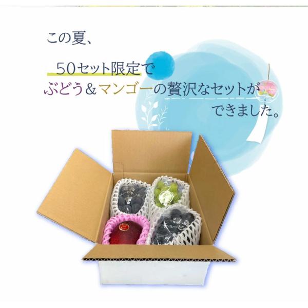 贅沢なフルーツ3種類のセット！どれも全部食べたくなる味です。 内容・発送方法・保存状態によって変わります