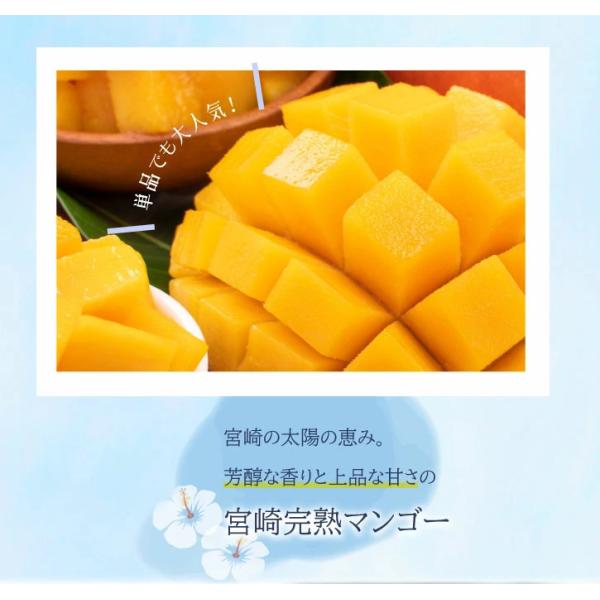 贅沢なフルーツ3種類のセット！どれも全部食べたくなる味です。 内容・発送方法・保存状態によって変わります