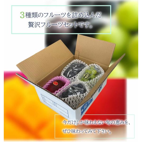 贅沢なフルーツ3種類のセット！どれも全部食べたくなる味です。 内容・発送方法・保存状態によって変わります