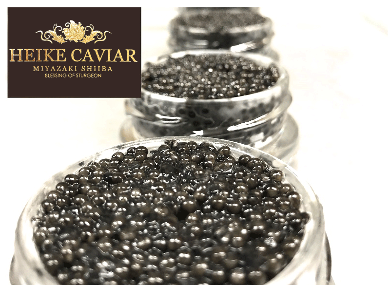 世界三大珍味の一つキャビア 宮崎県椎葉村でこだわりの製法 0