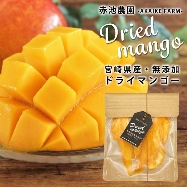 宮崎完熟マンゴー使用！無添加・無加糖だから安心安全。 無加糖・宮崎県産・株式会社ドライアップジャパン