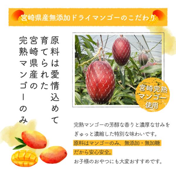 宮崎完熟マンゴー使用！無添加・無加糖だから安心安全。 無加糖・宮崎県産・株式会社ドライアップジャパン
