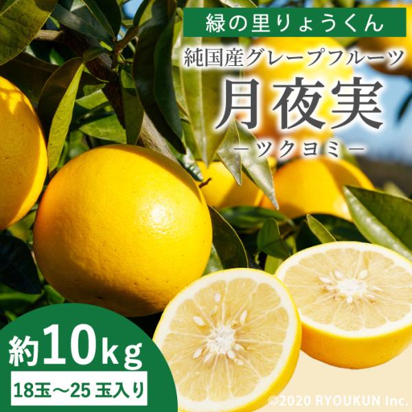 【4月上旬以降順次発送】純国産 グレープフルーツ 月夜実 ツクヨミ 約10kg(18～25玉) 宮崎県日南市産  緑の里りょうくん