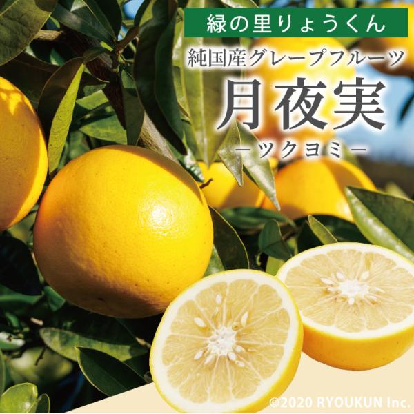 日本ではまだ珍しい純国産のグレープフルーツ。 月夜実・見た目の悪いものが多いです・特に3