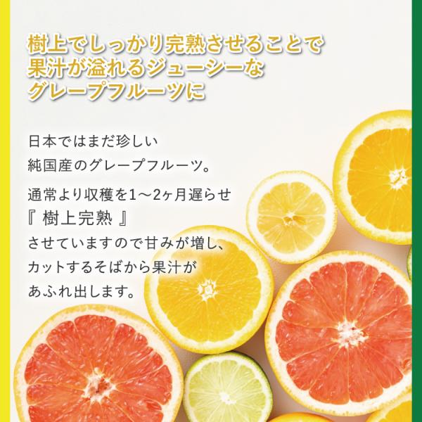 日本ではまだ珍しい純国産のグレープフルーツ。 月夜実・見た目の悪いものが多いです・特に3