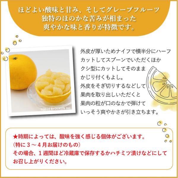 日本ではまだ珍しい純国産のグレープフルーツ。 月夜実・見た目の悪いものが多いです・特に3