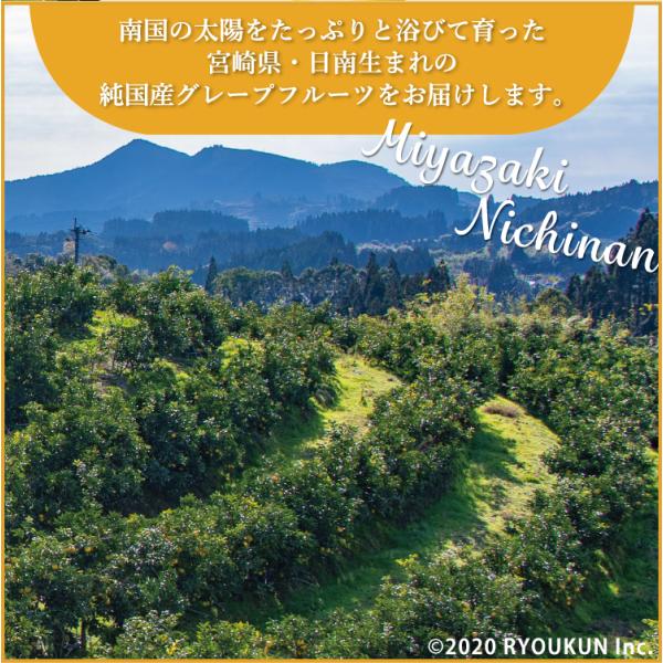 日本ではまだ珍しい純国産のグレープフルーツ。 その場合・発送から約2週間・宮崎県日南市