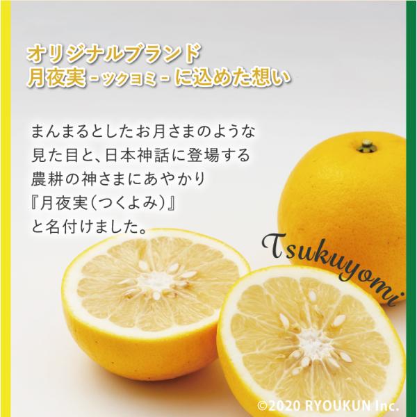 日本ではまだ珍しい純国産のグレープフルーツ。 その場合・発送から約2週間・宮崎県日南市