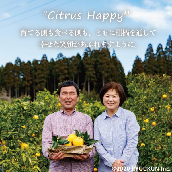 日本ではまだ珍しい純国産のグレープフルーツ。 その場合・発送から約2週間・宮崎県日南市