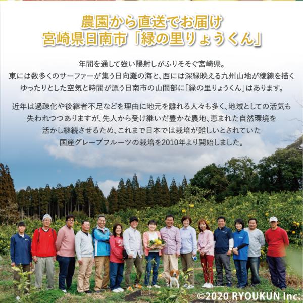 日本ではまだ珍しい純国産のグレープフルーツ。 宮崎県日南市・ヤマト運輸の通常便・保存方法