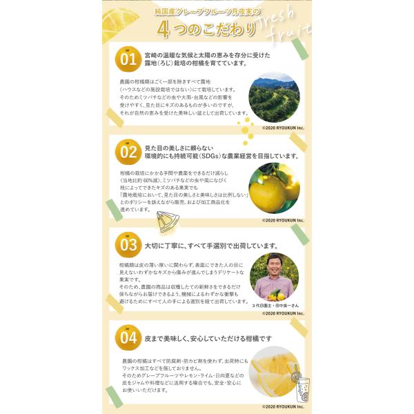 日本ではまだ珍しい純国産のグレープフルーツ。 宮崎県日南市・ヤマト運輸の通常便・保存方法