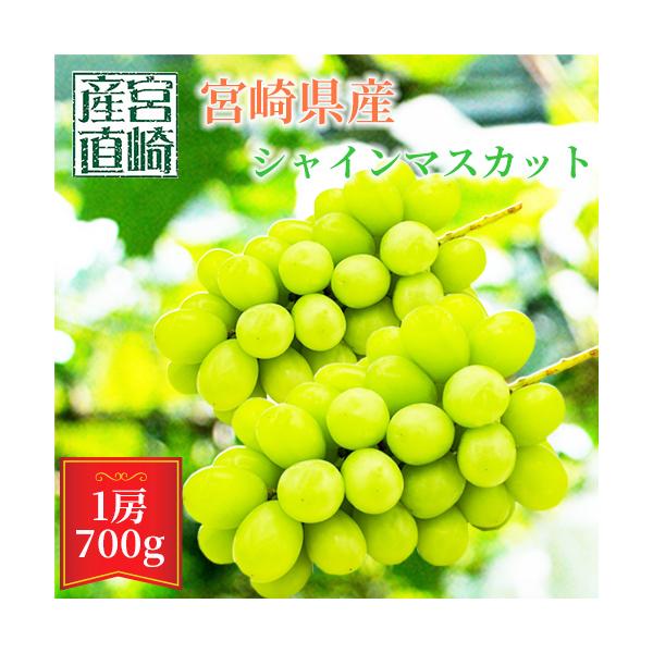 一度は食べてみたいブドウNo.１　シャインマスカット！ 保存方法・宮崎県小林市・沖縄