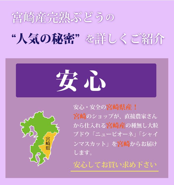 ブドウの王様★ニューピオーネ！朝穫れたての新鮮なぶどう 宮崎県小林市・朝穫れ・賞味期限