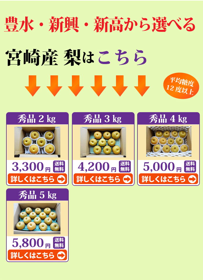 シャインマスカット！朝穫れたての新鮮なぶどう、梨 保存方法・4個・内容