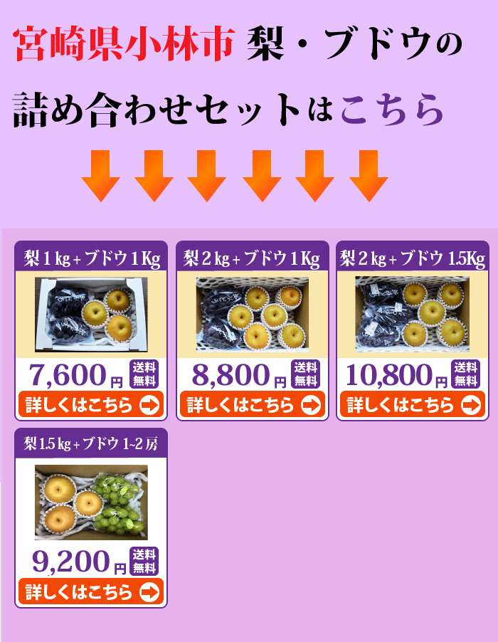 シャインマスカット！朝穫れたての新鮮なぶどう、梨 保存方法・4個・内容