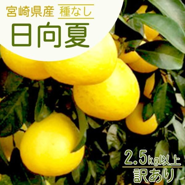 ふぞろいや傷ありですが味は秀品そのまま！ 沖縄・内容・見た目の状態