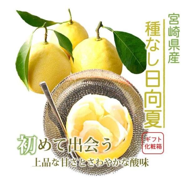 ふぞろいや傷ありですが味は秀品そのまま！ 保存状態によって変わります・約5Kg・沖縄