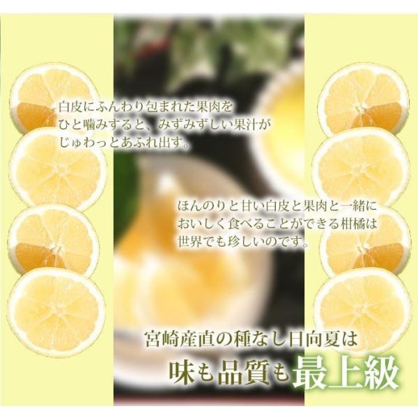 ふぞろいや傷ありですが味は秀品そのまま！ 保存状態によって変わります・約5Kg・沖縄