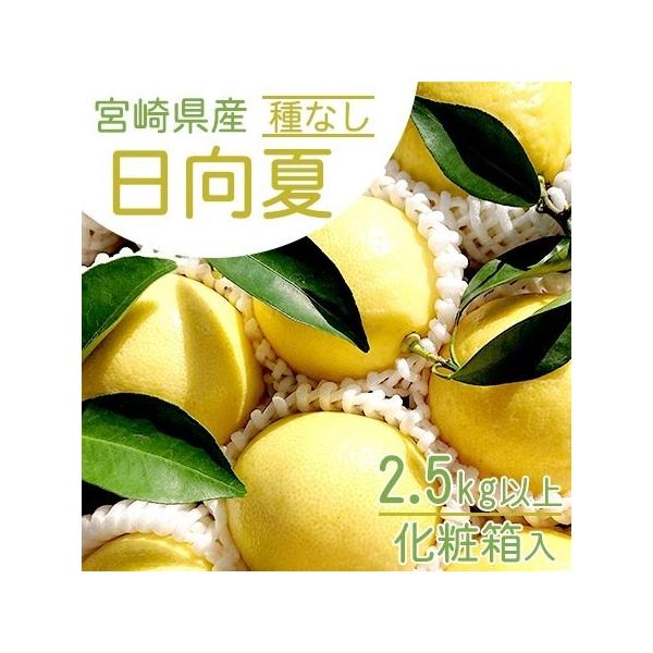 ほんのり甘い白皮ごといただく上品でみずみずしい味わいの果実 2週間・宮崎県産・保存状態によって変わります