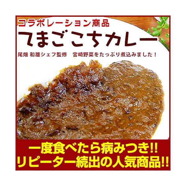 【 てまごこちカレー 1袋 】 　一度食べたら癖になる♪じゅわーと染み出るコクと野菜の旨み【宮崎産】