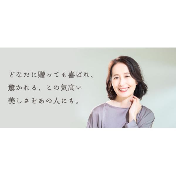 驚くほど大きく美しく、花もちの良い胡蝶蘭をお届けします 宮崎の老舗洋ラン農園・洋蘭の美翔・より