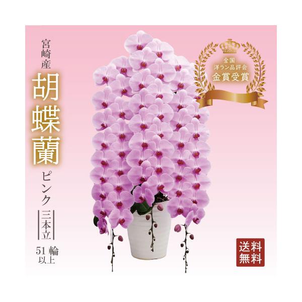 驚くほど大きく美しく、花もちの良い胡蝶蘭をお届けします より・宮崎の老舗洋ラン農園・花もちの良い胡蝶蘭をお届けします