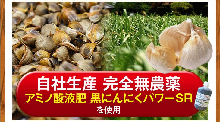 元気黒パワー★熟成黒にんにく★健康維持に◎ 80g・内容量・そのまま食べるからこそ実感できる本物の証