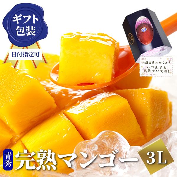 2025 宮崎完熟マンゴー 秀品-通常玉（青秀） 特大サイズ×1玉 宮崎産 完熟 極上 朝採れ 贈答 フルーツ ギフト