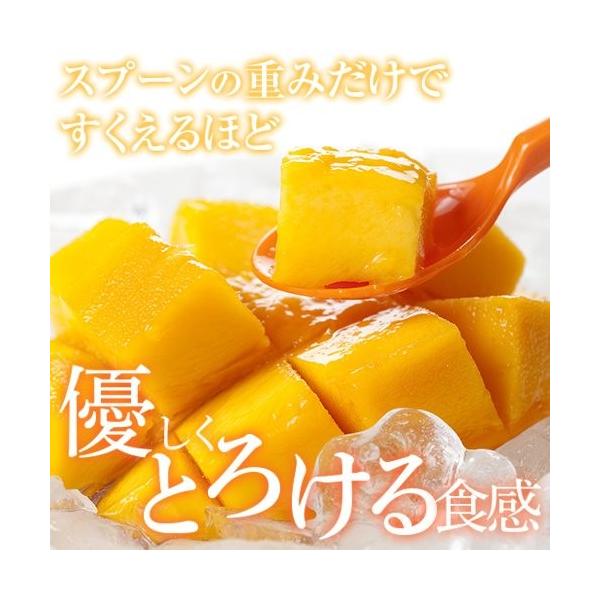 送料無料 宮崎 完熟 マンゴー 父の日 お中元 青秀・宮崎・届いたらラップなどでくるんで冷蔵庫での保管をお勧めします