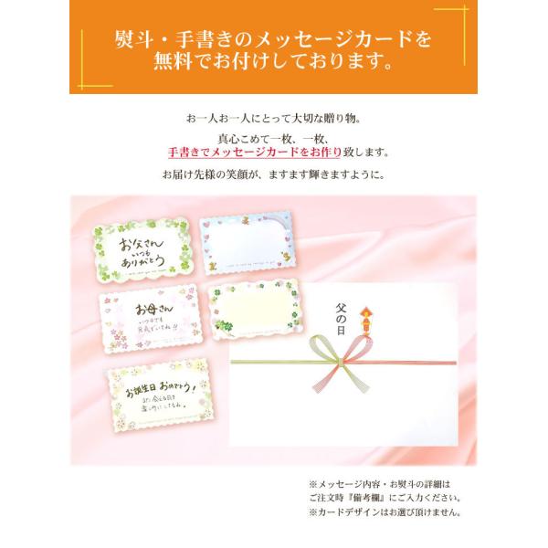 送料無料 宮崎 完熟 マンゴー  父の日　お中元 厳選・赤秀・お中元