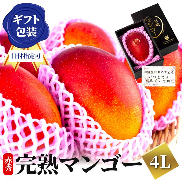 2025 宮崎完熟マンゴー 秀品-極上玉（赤秀）超特大サイズ×1玉 宮崎産 完熟 極上 朝採れ 贈答 フルーツ ギフト
