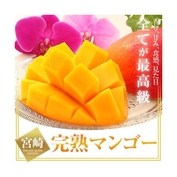 送料無料 宮崎 完熟 マンゴー お中元 父の日 649g・秀品・賞味期限