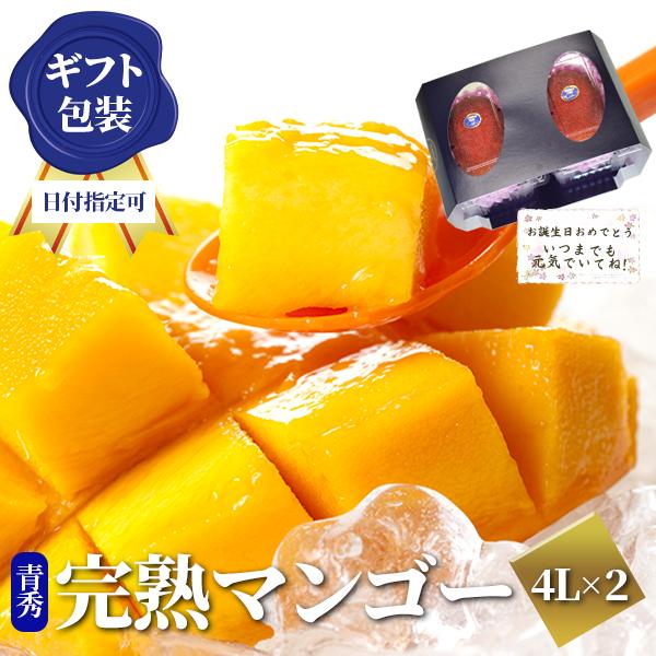 2025 宮崎完熟マンゴー 秀品-通常玉（青秀） 超特大サイズ×2玉 宮崎産 完熟 極上 朝採れ 贈答 フルーツ ギフト