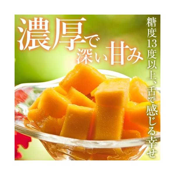 完熟マンゴー 訳あり！朝穫れたての新鮮な完熟マンゴー 内容・ヤマト運輸のクール便になります・商品につきまして