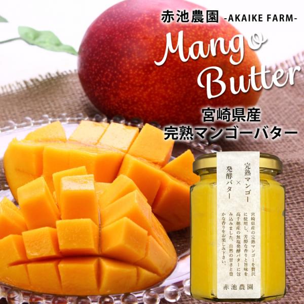 宮崎完熟マンゴー使用！無添加・無加糖だから安心安全。 保存方法・甜菜糖・150g