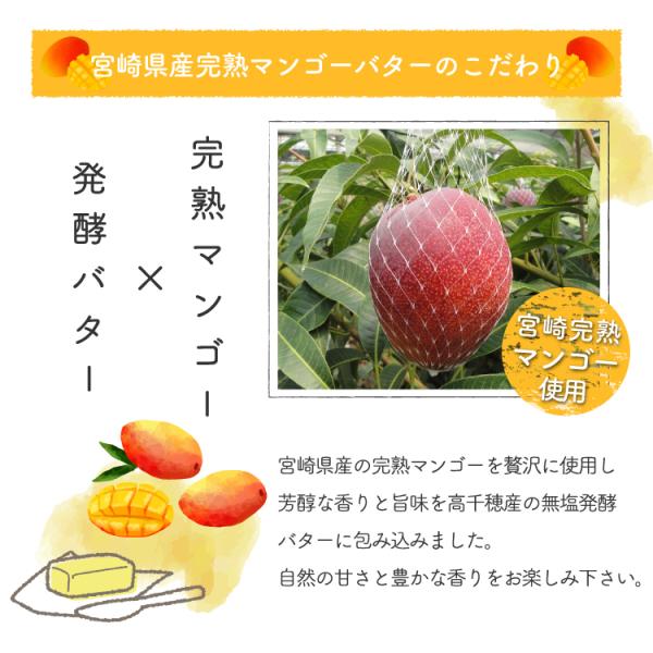 宮崎完熟マンゴー使用！無添加・無加糖だから安心安全。 保存方法・甜菜糖・150g