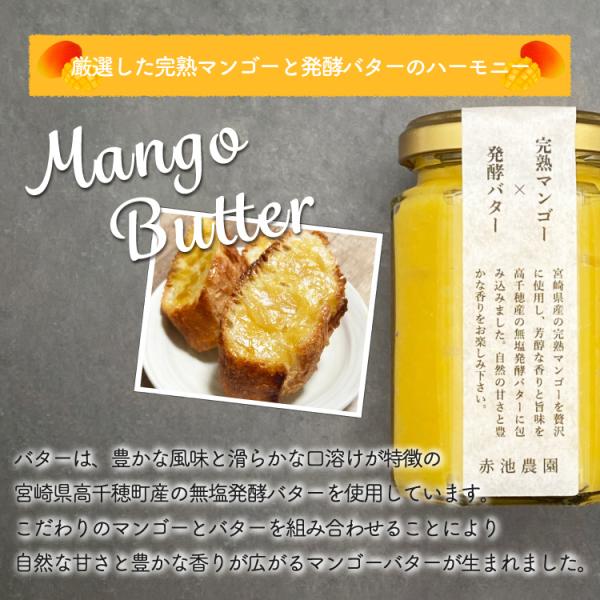 宮崎完熟マンゴー使用！無添加・無加糖だから安心安全。 保存方法・甜菜糖・150g