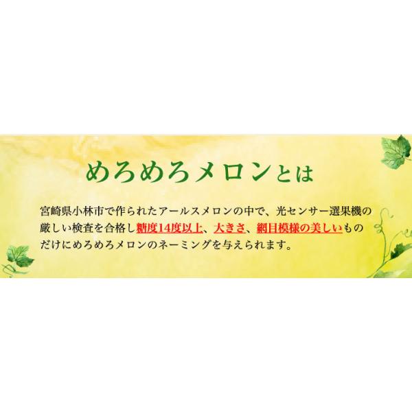 お祝いやフルーツギフトにおすすめです☆ めろめろメロン・また・青肉1玉