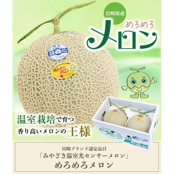 お祝いやフルーツギフトにおすすめです☆ 宮崎産・1500円を合計金額に加算させて頂きます・産地
