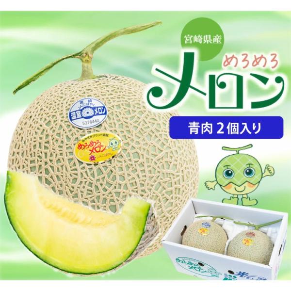 【2025年2月下旬以降順次発送】【宮崎県小林市産 めろめろメロン 青肉2個セット】爽やかな風味とほんのりした甘さ 温室栽培の香り高いメロン