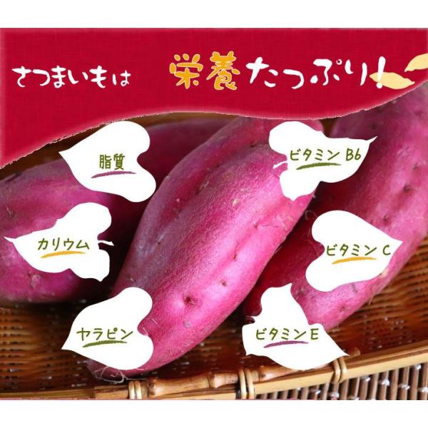 美味しい蜜芋と干し芋をセットにしました。 そのままでも充分に美味しい・国富金時から生まれた和スイーツ・国富金時から生まれた和スイーツ