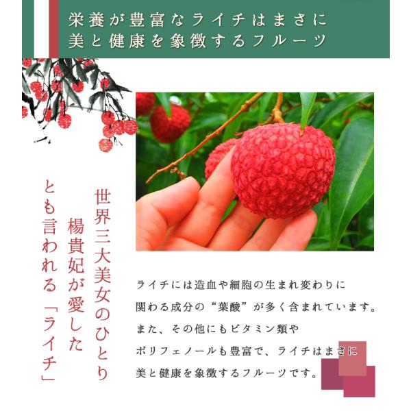 宮崎県新富町産 超希少の国産生ライチを産地直送でお届け！ 日時指定はお受け出来ません・1500円を合計金額に加算させて頂きます・お届け先が北海道