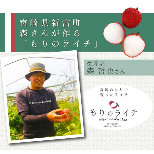 宮崎県新富町産 超希少の国産生ライチを産地直送でお届け！ 日時指定はお受け出来ません・1500円を合計金額に加算させて頂きます・お届け先が北海道