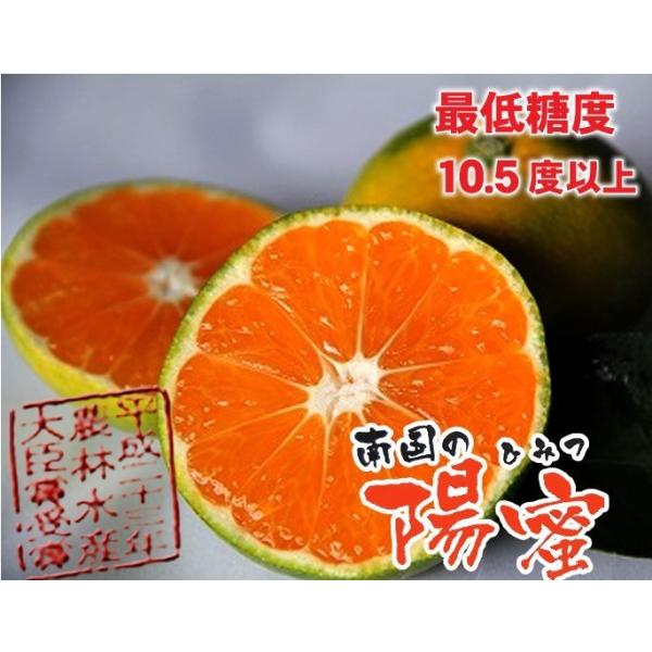 光センサー選果で糖度10.5度以上、クエン酸1%以下のみかん 保存方法・秀品・保存状態によって変わります