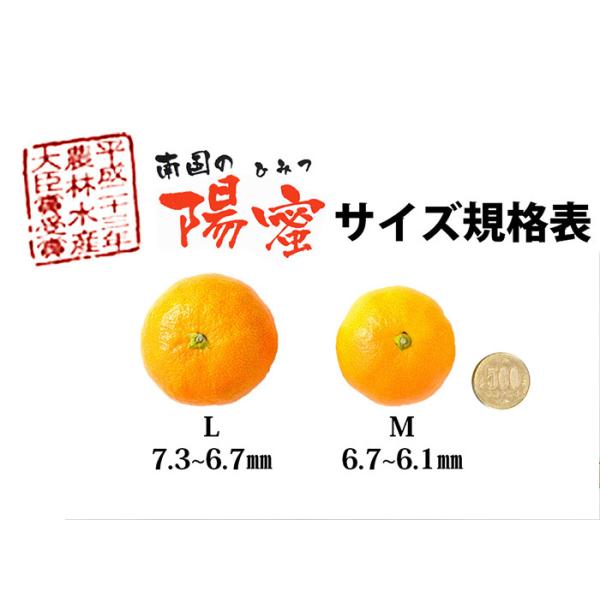 光センサー選果で糖度10.5度以上、クエン酸1%以下のみかん 保存方法・秀品・保存状態によって変わります