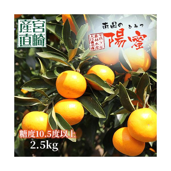宮崎県産 高級 ブランド みかん「 南国の陽蜜 (ひみつ) 」S~Mサイズ 約2.5kg